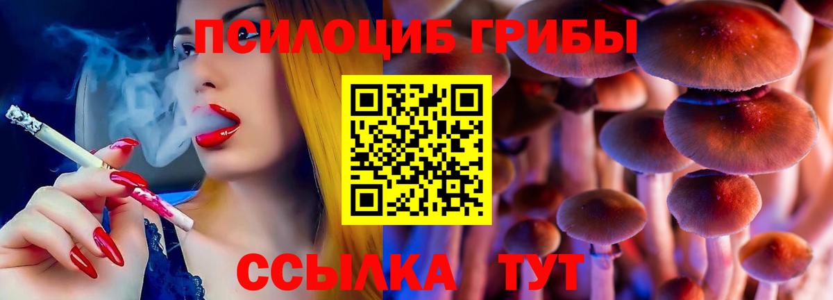 Псилоцибиновые грибы MAGIC MUSHROOMS Углич